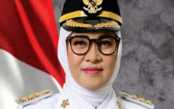 Bupati Gowa, Husniah Talenrang.