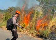 Cegah Api Meluas, Tim SAR Batalyon B Pelopor Padamkan Kebakaran Lahan di Bukit Harapan