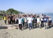 Peringati HUT Pramuka ke-65, Wabup Abustan Pimpin Bakti Sosial Bersihkan Pantai Polejiwa Tanete Rilau