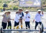 Bupati Barru Andi Ina Apresiasi Kepercayaan Pusat Tunjuk Barru Gerakan Tanam Serempak Nasional
