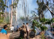 Tim Gabungan Berhasil Padamkan kebakaran Hutan Lindung di Dusun Kompasa, Desa Loka Kec Rumbia Kab Jeneponto