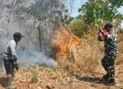 Aksi Cepat Babinsa dan Warga Padamkan Kebakaran Lahan 50 Are di Paccelekang Gowa