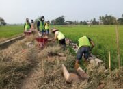 Sinergi Kodim 1409/Gowa dan Pemkab Sentuh Dusun Bontomanai Melalui Pra TMMD Ke-130